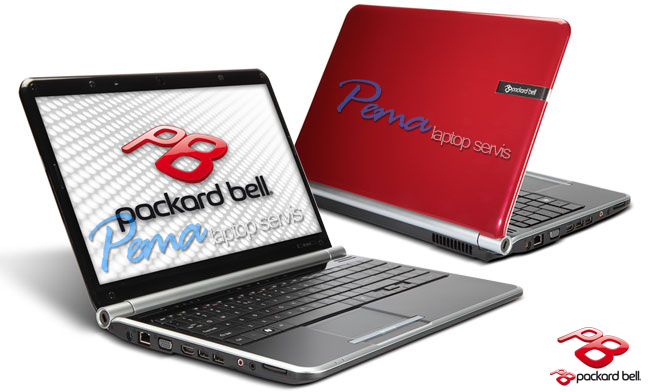 packard bell Easynote Lj67